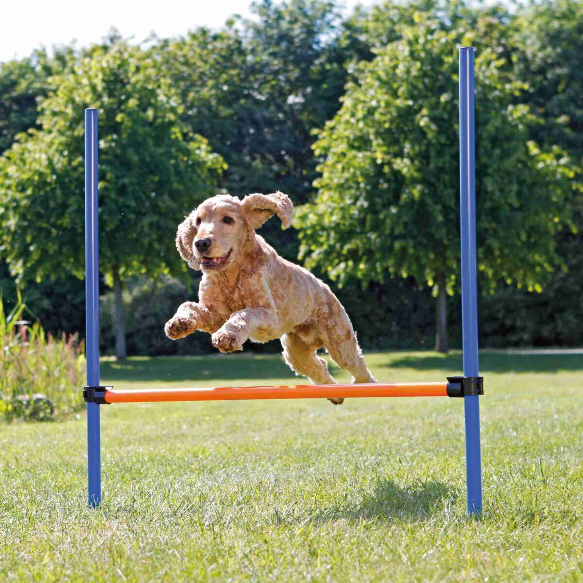 Trixie Agility Hürde mit Hund springt