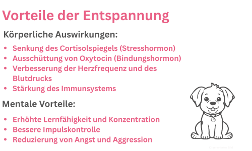 Gesundheitliche Vorteile der Entspannung für Hunde